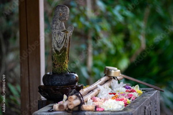 Obraz 鎌倉26223　安国論寺6　花手水