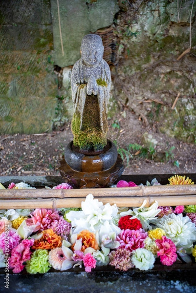 Obraz 鎌倉26223　安国論寺1　花手水