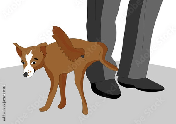 Fototapeta The impudent and disobedient dog decided to pee on the foot of the owner, she has a snide look, vector illustration