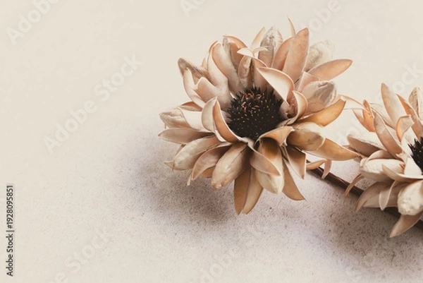 Obraz ベージュ　花　背景　シンプル　おしゃれ　壁紙　ナチュラル