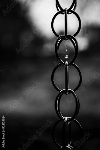 Obraz 鎖を伝い落下する水滴の連鎖と反射（モノクロ）