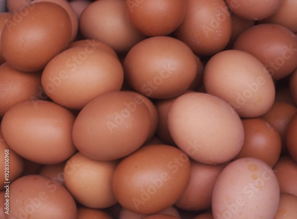 Obraz Many brown chicken eggs as background