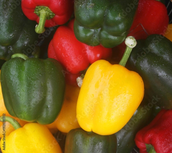 Obraz Different sweet peppers close up