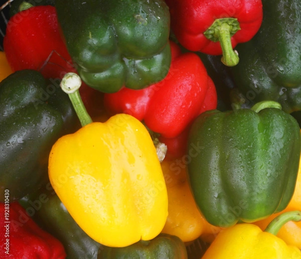 Obraz Different sweet peppers close up