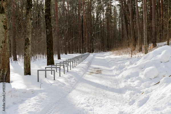 Obraz Bicycle Parking Racks on Snowy Forest Path