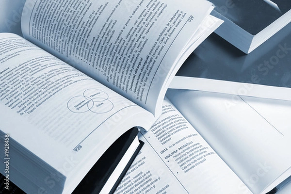 Obraz strony książki