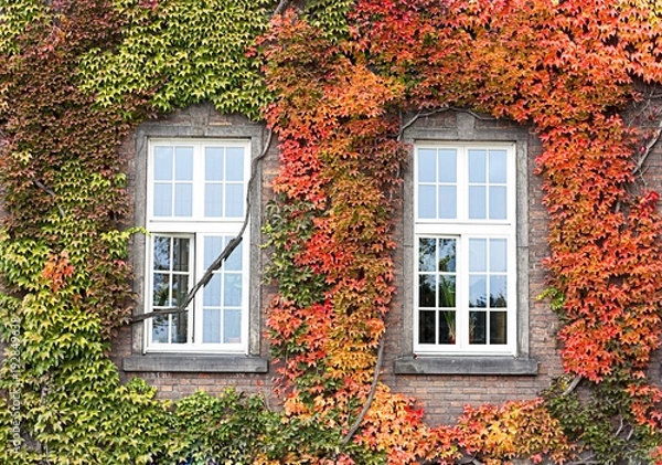 Obraz Windows at autumn