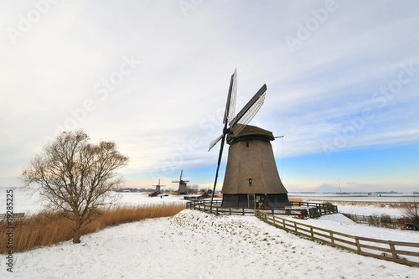 Fototapeta Beautiful winter windmill landscape