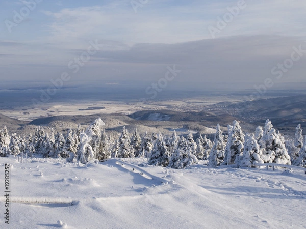 Obraz Winterlicher Vorharz