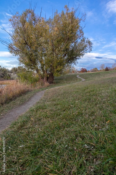Obraz Empty walking path