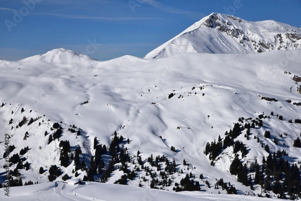 Fototapeta Montagnes ennéigées de l'Oberland bernois