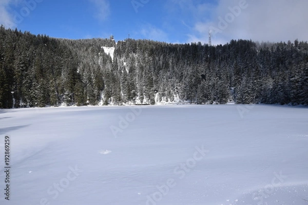 Obraz Der Mummelsee im Schwarzwald