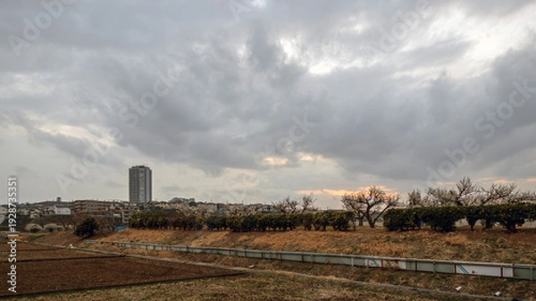 Obraz 夕方の郊外