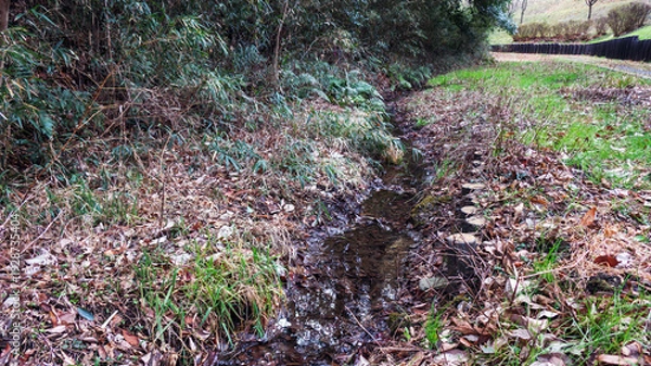 Obraz 散歩道の小川