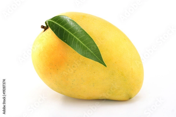 Obraz Świeże, dojrzałe mango na białym tle