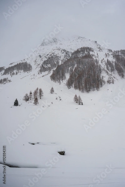 Obraz Scorci dolomitici