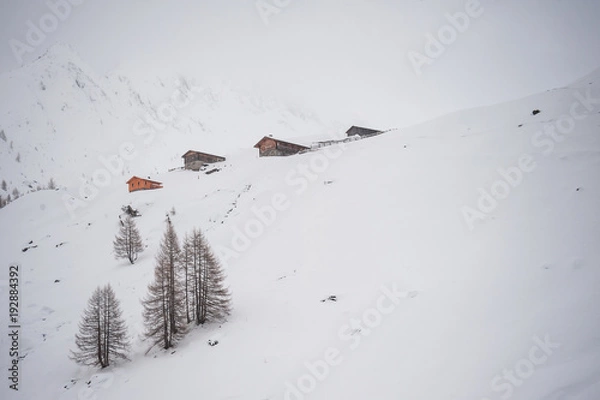 Obraz Dettagli della montagna
