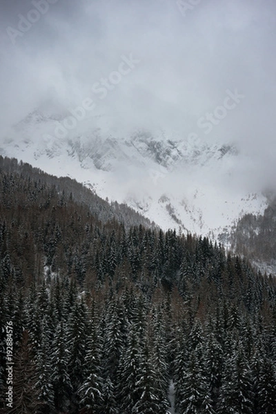 Obraz Oltre la montagna