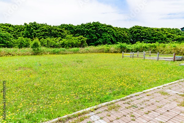 Obraz オロロンの島 焼尻島(やぎしりとう)を行く
