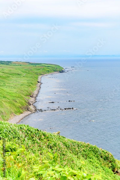Obraz オロロンの島 焼尻島(やぎしりとう)を行く
