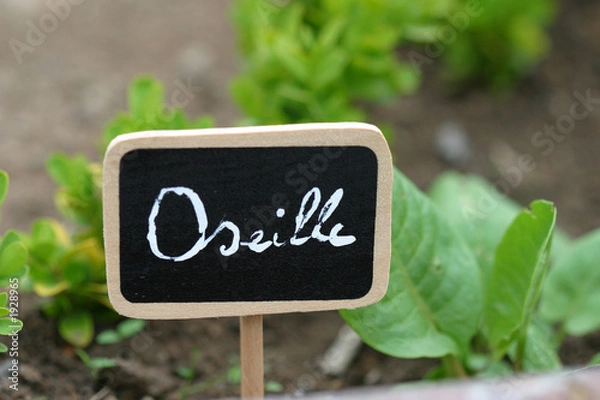 Obraz panneau oseille