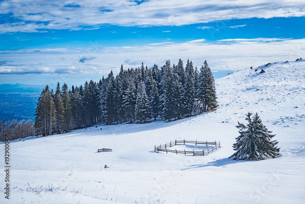 Obraz snow-covered mountains