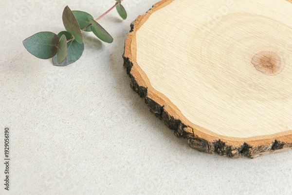 Obraz 切り株　コピースペースのあるナチュラルな木目背景素材