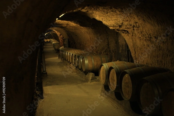 Obraz cave viticole au Liban