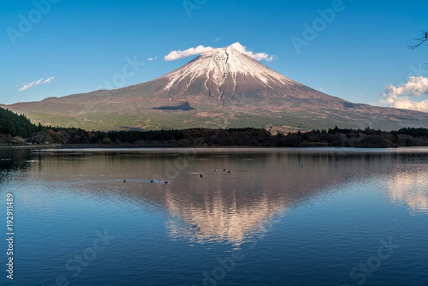 Fototapeta Beautiful clear sky Sunset, ducks swimming at Tanuki Lake(Tanukiko). Fuji mountain reflections, first snow in autumn season. Located near Tokai Nature Trail, Shizuoka prefecture, Fujinomiya-shi, Japan