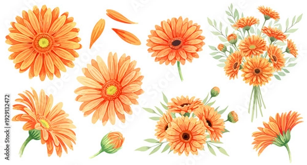 Obraz オレンジ色のガーベラのイラストパーツセット（花束・単体・花びら・蕾）,植物,水彩風,お祝い