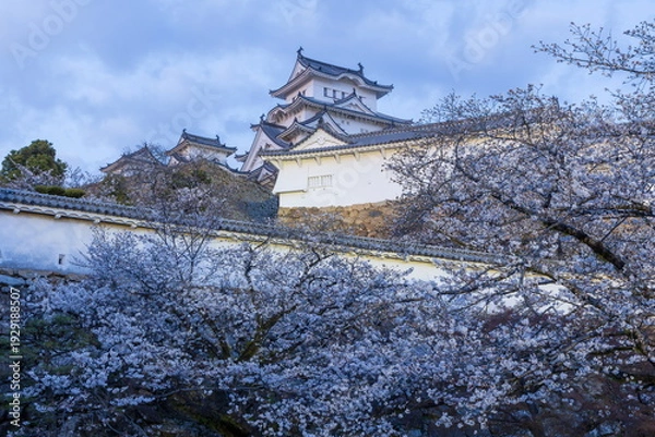 Obraz 夕暮れの姫路城　兵庫県姫路市にて