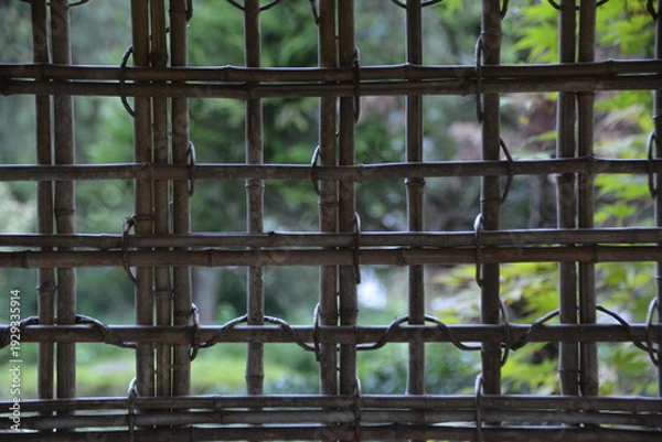 Obraz 竹垣の格子