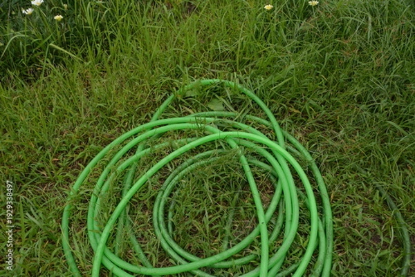 Obraz 芝生の上に置かれたホース