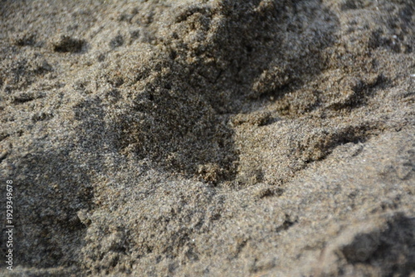 Fototapeta 砂浜の砂のテクスチャ