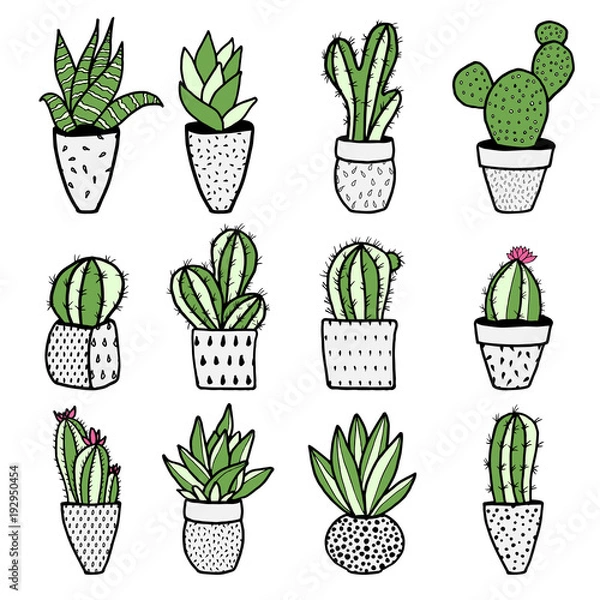 Obraz Set of different kinds of cactuses in flower pots. Sketchy vector pattern.