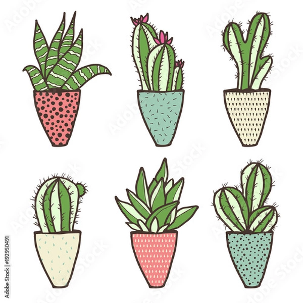 Fototapeta Set of different kinds of cactuses in flower pots. Sketchy vector pattern.