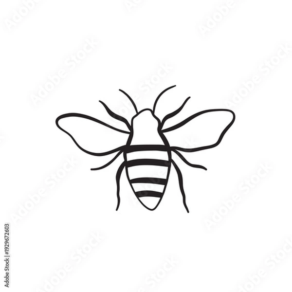 Fototapeta bee on white background