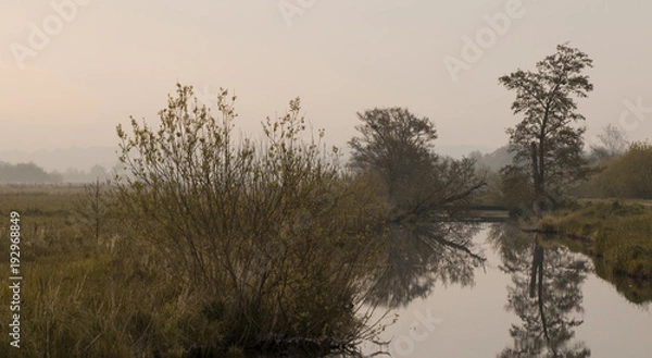 Obraz Mystisches Teufelsmoor in Worpswede, bei Bremen