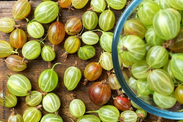 Obraz lot of gooseberry is scattered