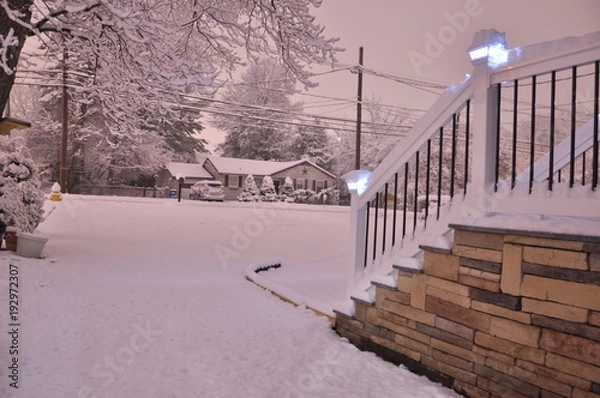 Obraz Snowy driveway