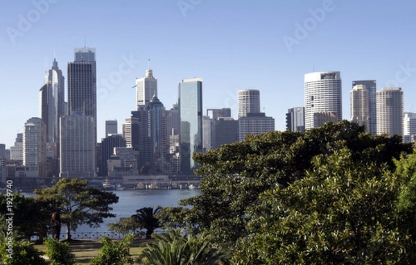 Fototapeta urban oasis