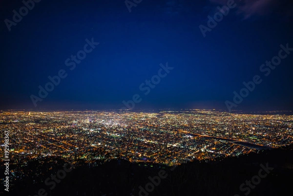 Obraz Night view of sapporo city