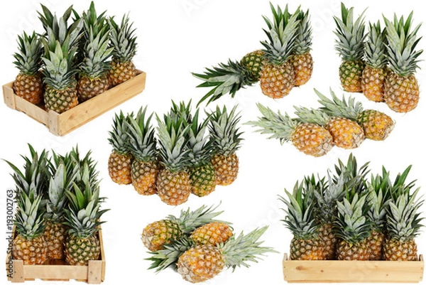 Obraz Pineapple on white background