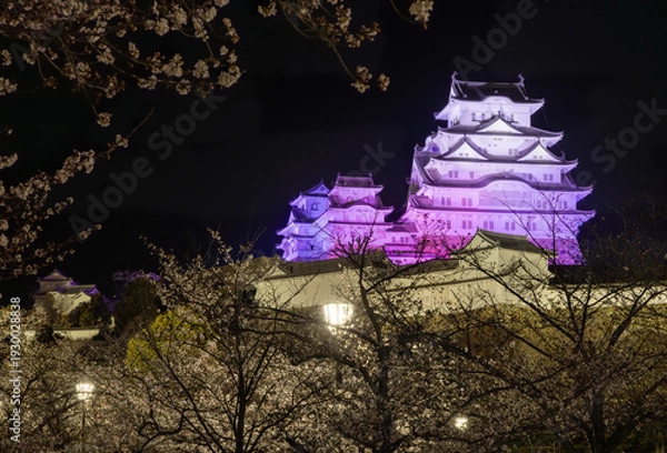 Obraz ライトアップされた姫路城　兵庫県姫路市にて
