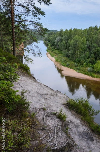 Fototapeta View from cliff on river and forest. Erglu Cliffs, on the bank of the Gauja river.