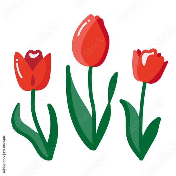 Obraz 赤色のチューリップ かわいい手描きのイラストセット