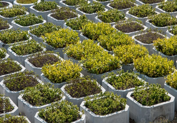 Obraz Grüne Diagonale