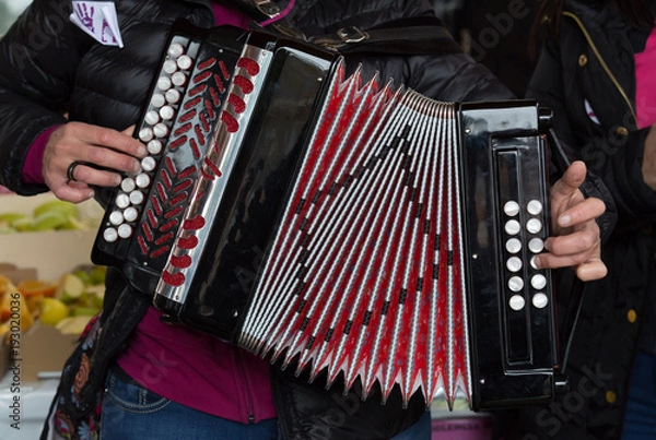 Obraz The accordion, an instrument widely used in Basque culture