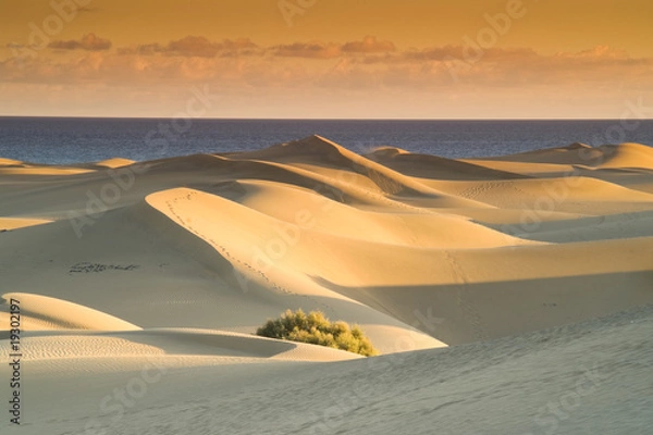 Obraz Dunes at sunset
