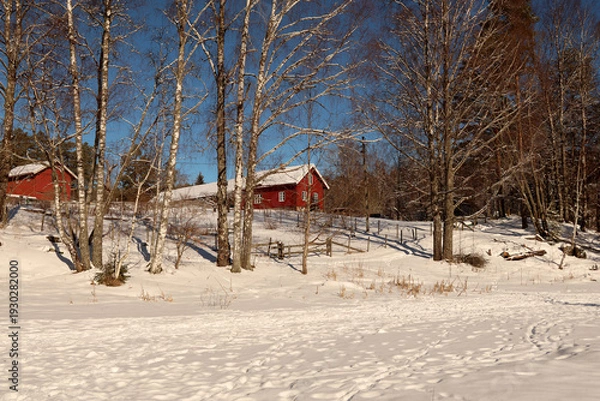 Obraz Red house in the forest